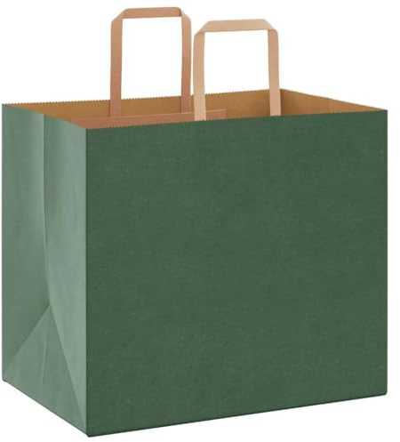vidaXL Papiertragetaschen 50 Stk., Papiertüten mit Henkeln, Kraftpapiertüten, Geschenktüten für Einkaufen Hochzeiten Verpackungen Partys Geburtstag Weihnachten, Grün 32x22x28cm