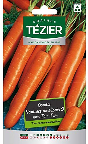 Tezier - Carotte Nantaise améliorée 3 race Tam Tam Fort Grammage