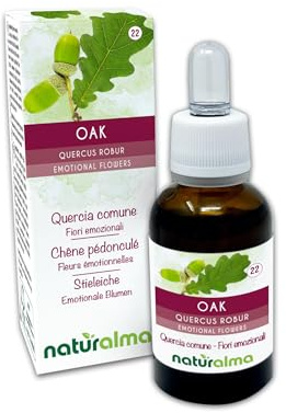 Oak oder Stieleiche (Quercus robur var. pedunculata) Emotionale Blumen oder Bach-Blüten Naturalma - Tropfen 30 ml - Alkoholfreier Flüssigextrakt - Blütenessenzen - Vegan