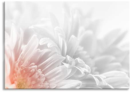 Pixxprint Glasbild, Wandbild aus Echtglas, Gerbera-Blume, 100x70 cm, inkl. Aufhängung und Abstandshalter