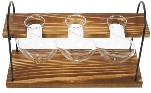 Supvox Pflanzenhalter Mit Holzständer Terrarium Für Luftpflanzen Innenbereich Deko Tabletop Herz Vase Für Lebende Zimmerpflanzen Hydrokultur Pflanzgefäß