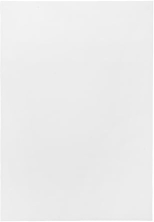 BESTOMZ Diffusore Luce per Plafoniera Rettangolare in Acrilico Bianco Opaco 297x210mm per Controsoffitti a Griglia e Uffici Diffusione Luminosa Migliorata