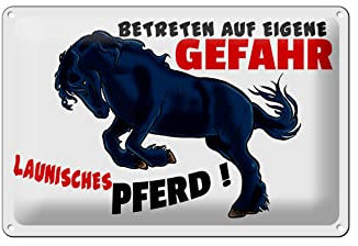 FEMER Blechschild Hinweis 30x20cm launisches Pferd Gefahr