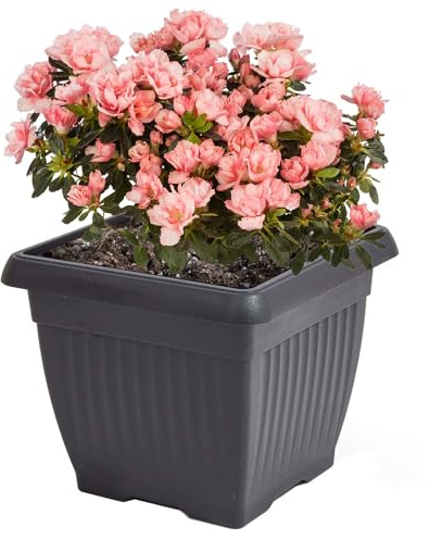 botle Pot de fleurs carré avec rainures 30 x 30 cm H 25 cm en plastique anthracite classique intemporel parfait pour la maison, le balcon, la terrasse, le jardin