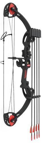 WooDerson Compoundbogen und Pfeil-Set, 16-29 LBS Zuggewicht, Auszugslänge 49-72cm mit 12 Pfeile, Jugend-Compoundbogen für Bogenschießen Zielübungen, Sportwettbewerb Praxis etc (Schwarz)