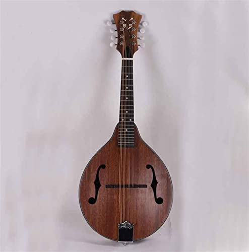 TSTS Beginner Mandolin Hand Mandolins Single Layer Instrument