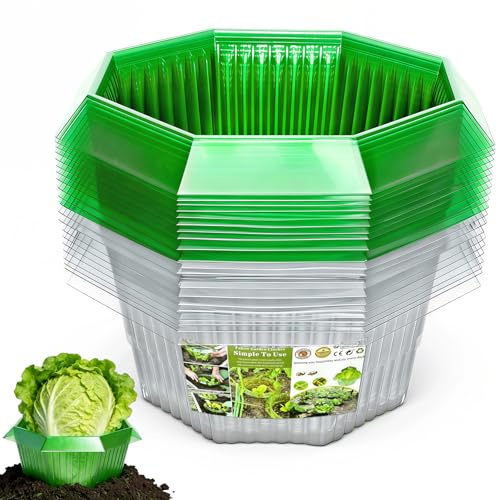 Sunshine smile 10 Stück Schneckenkragen,Schneckenkragen aus Plastik,Schneckenschutz,Schneckenschutzringe,Schneckenring Garten Effektiver Schneckenschutz für Ihre Salatpflanzen Hängende Tomaten