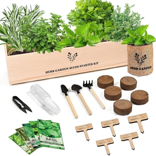 YROHGKPN Kit de plantes d'intérieur miniaturisées, le paquet contient des outils de jardinage prêts à l'emploi, des grains de plantes, un manuel pour les débutants, un concept de present, des buissons
