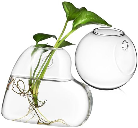 PRETYZOOM 2stücke Glas-Terrarium Für Wandmontage Hängender Pflanzhalter Für Zimmerpflanzen Hydrokultur Vase Aus Borosilikatglas Für Anzucht Und Dekoration