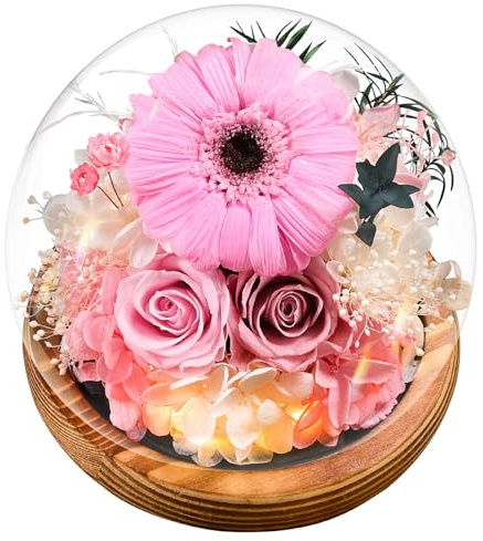 Valentinstagsgeschenke für Frauen | Ewige Gerbera und Rosen im Glas mit Licht | Konservierte Blumen Mit Geschenkbox | Für Frauen, Mama, Oma, Freundin | Zum Valentinstag, Muttertag – Deko & Geschenk​