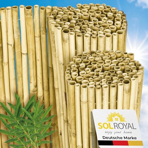 Sol Royal Premium Bambus Sichtschutz Bambuszaun witterungsbeständig Balkon | 160x250cm hell glänzend hochwertig Gartensichtschutz Sichtschutzzaun hoch Bambusrohre Ø2-3cm Garten Zaun blickdicht B99