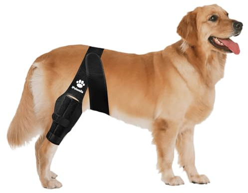 iPalamila Elbow Support for Dogs Hundebeinschutz verstellbar - Wasserdicht, rutschfest & atmungsaktiv - Ideal für Outdoor, Winter & postoperative Pflege