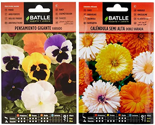 Pensamiento Gigante VARIADO & Caléndula semi alta doble variada