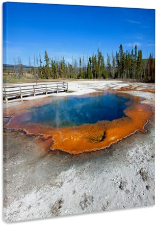 3dRose Emerald Pool at Black Sand Basin, Yellowstone NP, USA. Museum Grade Canvas Wrap 8x10