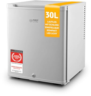TZS First Austria - Mini réfrigérateur 30L complètement silencieux - Petit mini-frigo avec porte réversible et lumière intérieure - Minibar pour camping, bureau, chambre & hôtel - Gris