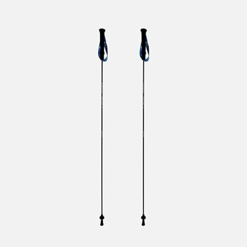 RAIDLIGHT Ultralight Carbon Poles Homme, 200 Noir, 110