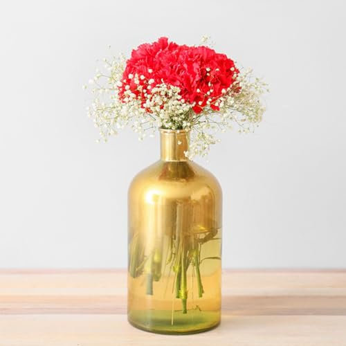 50 pezzi di chiodi di garofano (Dianthus) piante resistenti all'inverno, semi di fiori, regalo per gli ospiti, piante da giardino, piante da balcone, bonsai semi, piante da giardino resistenti