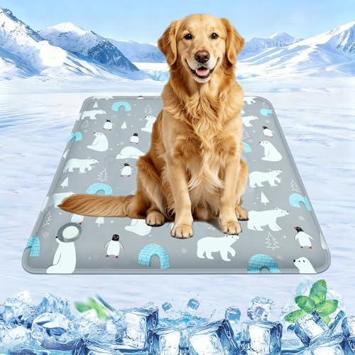 Tapis Rafraichissant Chien Chat, Tapis Rafraîchissant pour Chien et Chat avec Gel non Toxique, Tapis de Refroidissement pour Animaux, Coussin Rafraîchissant pour Animaux de Compagnie(50x60cm)