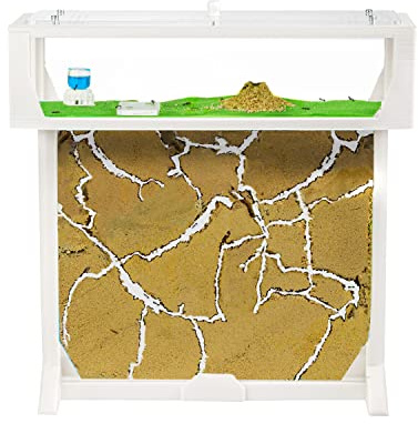 AntHouse.es - Hormiguero Natural de Arena | Kit 3D T Big 25x20x1,5 cm | Granja de Hormigas Blanco | Colonia de Hormigas Incluida