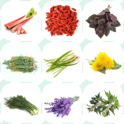 630 pcs kräutersamen set mehrjährig winterharte kübelpflanzen kräuter samen set zimmerpflanzen kleine geschenke deko pflanzen garten geschenke für frauen