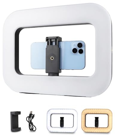 Smartphone Video Rig with Light, Handheld Ring Selfie Light Kit, LED Mobile Video Stabilizer with Built-in 8000mAh Battery for Camera, Smartphone, YouTube, TikTok Video Recording, Makeup