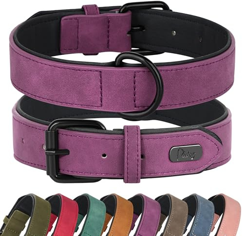 Didog Hundehalsband aus weichem, gepolstertem Leder, atmungsaktives, strapazierfähiges Hundehalsband aus Leder mit Verstellbarer, rostfreier Metallschnalle für mittelgroße und große Hunde, Lila, L