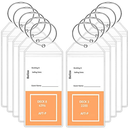 Kofferanhänger für Kreuzfahrten, 10 Stück, 19,2 X 8,9 Cm, Groß Gepäckanhänger mit Edelstahl Schlaufe, Transparente PVC Koffer Namensschild, Wasserdicht Kreuzfahrt Koffer Tag für Rucksack, Luggage