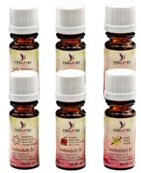 Creartec - Set di oli profumati per sapone invernale, composto da sogno invernale, mela cotta e vaniglia, aroma di sapone per la produzione di saponi profumati, palline da bagno, ecc. Vegano, 2 x 30