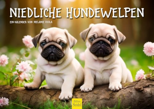 Edition Seidel Calendario premium para cachorros de perro 2026, formato DIN A3, calendario de pared, calendario para perros, cachorros, animales, niños, raza de perro, mascota, melanie viola