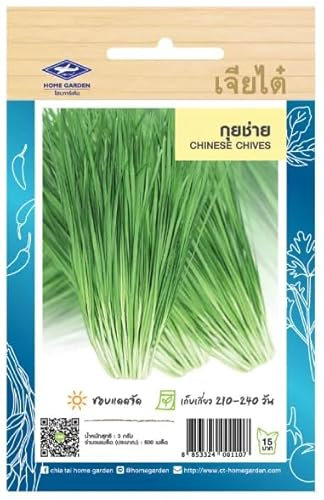 Graines de Ciboulette Chinoise – Ail Chinois – Ciboule de Chine – 250 graines – CHIA TAI (Home Garden) – Import Thaïlande