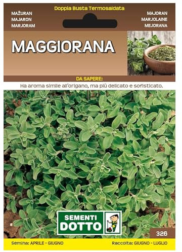 Sicignano | Semi Maggiorana, Pianta Aromatica Perenne, Busta Extra - 2 Confezioni da 1.1g, Ideale per Aromatizzare Piatti Freschi o Essiccati, Pianta da Taglio, Adatta a Pieno Sole