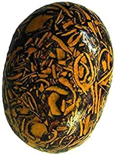11,00 Ratti 10,25 Karat natürlicher Mariyam Fossil Heilstein Mineral Mariyam Edelstein Cabochon unbehandelter Stein-B0BW9FGMDN