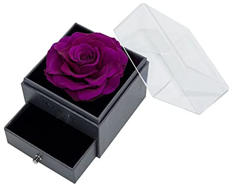 TAIYOU Ewige Echte Rose Geschenkbox mit Kette Konservierte 925 Sterling Silber Sonne Damen Halskette für Sie Valentinstag Muttertag Jahrestag Geburtstag - Lila Rose