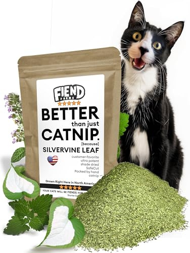 Catnip + Silvervine – Enhanced with Kind Silver Vine - Small .4 Cup (14g) Starter Pack Safety-Cut Ultra Potent North American Premium Fine Cat Nip Blend for Cats Kittens – Go Ahead, Create a Monster!