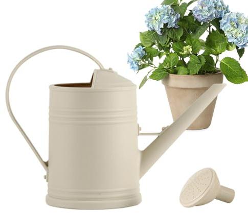 Arrosoir – Pot d'arrosage de Jardin, 2 L avec tête de pulvérisation Amovible | Long Bec verseur détaillé, Support Facile à Verser, Utilisation de et de Fleurs, Outil de Jardinage Portable pour