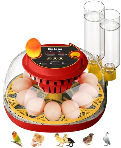 Incubadora Huevos Gallina Automática: Incubadora de 12-24 Huevos de Gallina, con Volteo Automático de Huevos y Humidificación Automática, Control de Temperatura, Incubadora para Huevo de Codorniz,Pato
