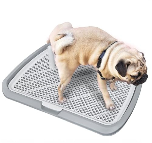 Hundetoilette Flachdesign mit wasserdichter Basis, herausnehmbarem Tablett & rutschfesten Füßen – für Welpen und Erwachsene Hunde – Ideal für Indoor, Balkon oder Reisen (65 * 50cm (Grau)