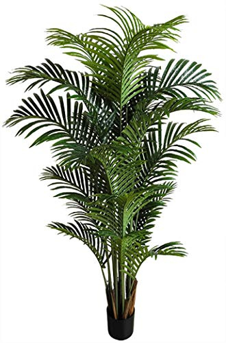 Seidenblumen Roß Hawaiipalme 120cm DA künstliche Zimmerpalme Palmen Kunstpalmen Kunstpflanzen Dekopalme