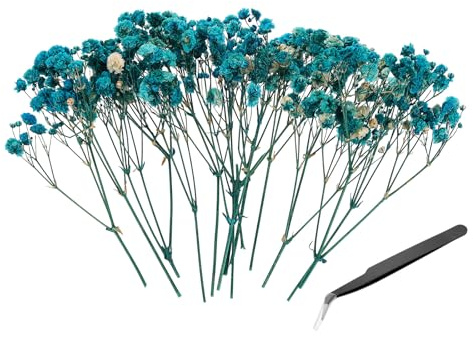PATIKIL 30Pezzi Kit Mini Fiori Secchi Di Gypsophila Da 4 Pollici Per DIY | Decorazioni Regalo Matrimonio Natale Carte Bouquet Di Fiori, Mazzi Floreali Pressati Naturali Blu, Con Pinzetta
