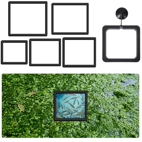5Size EVA Floating Rings for Aquarium and 1Pcs Suction Cup Fish Feeder Ring