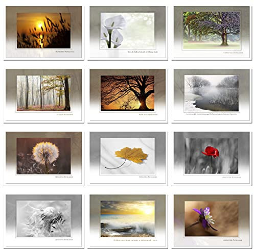 metALUm 12 wunderschöne, ausgefallene Trauerkarten Beileidskarten Kondolenzkarten im Set
