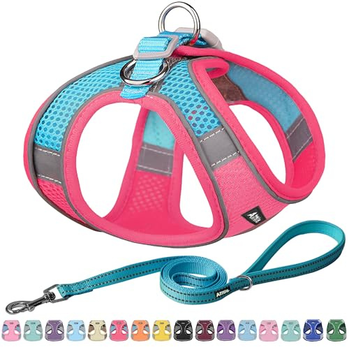 AIITLE Hundegeschirr, No-Pull Katzengeschirr mit Leine, Knallrosa XXXS | einstellbare reflektierende Hundeweste, Welpengeschirr fluchtsicher, Spaziergang im Freien für kleine Hunde und Hauskatzen