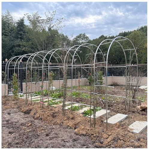 GZDXBF Rosenbogen Aus Edelstahl, Stahlrahmen Gartenbogen Blumenbogen Rahmen Für Kletterpflanzen, Rosen, Drinnen/Draußen(Color:25mm+Base,Size:2.8 * 2.4m(9.2 * 7.9ft))