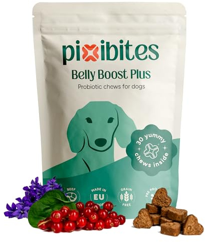 pixibites - Probiotici per Cani, Fermenti Lattici Premium, Supporto Digestivo, Promuove il Benessere Intestinale e le Fisiologiche Difese Immunitarie