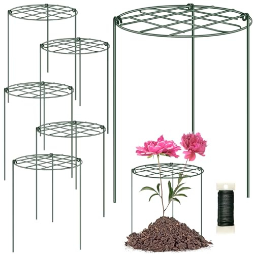 6 Pack Peony Cages and Supports 12 x 16 Inch Grow Through Plant Supports for Outdoor Plants,Plant Brace Flower Support Rings Hoops for Vegetables,Rose,Tomato,Orchids