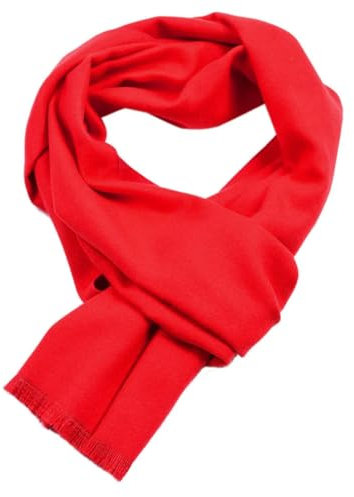 Einfarbiger Kaschmir-Schal, Winter, warm, Halstuch, Pashmina-Schal für Herren, Schals, rot, One size