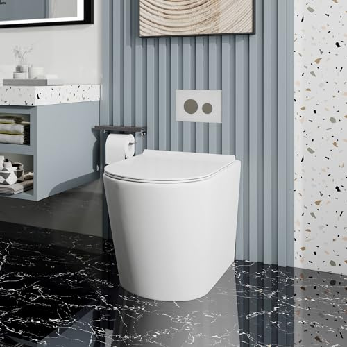 Rimless BTW Back to Wall Toilet and Concealed Cistern Round Short Projection Compact Toilet White Ceramic WC Pan Slim Soft Close Seat Modern Eco Flush Bathrooms Toilets