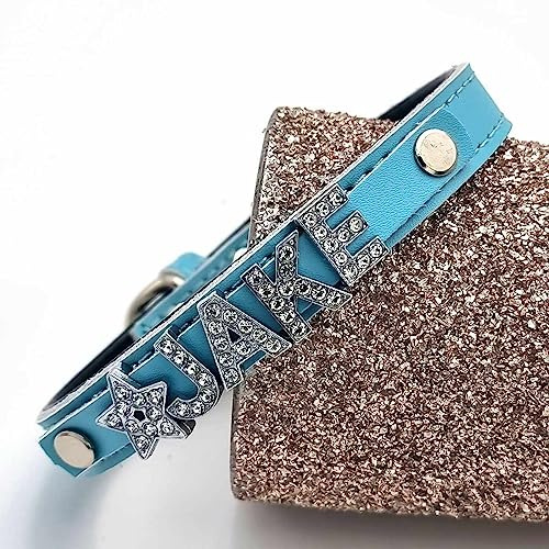 Edles Hundehalsband aus Leder personalisiert mit Glitzersteinen + Symbol Türkis/XS 20-27cm