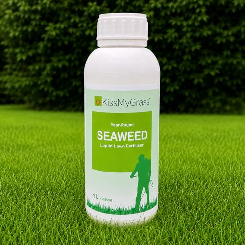 KissMyGrass Seaweed Liquid Lawn Fertiliser (1L) - Liquid Seaweed Fertiliser for Lawns to Improve Soil Structure & Strengthen Grass Roots, March-November Application