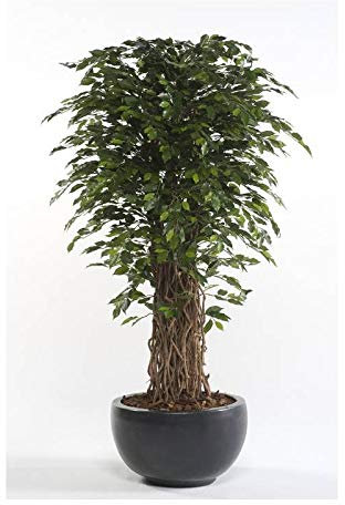 artplants.de Künstlicher Ficus Benjamini Adolfo, Naturstämme, grün, 175cm - Deko Ficus Baum - Zier Baum Ficus
